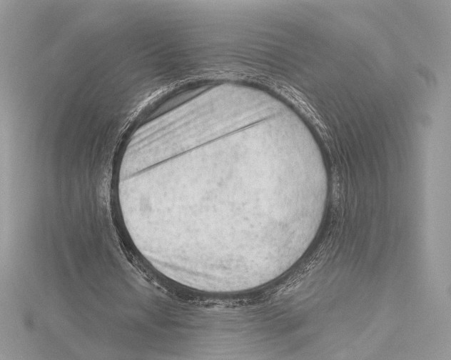 X0000115540434200912041014