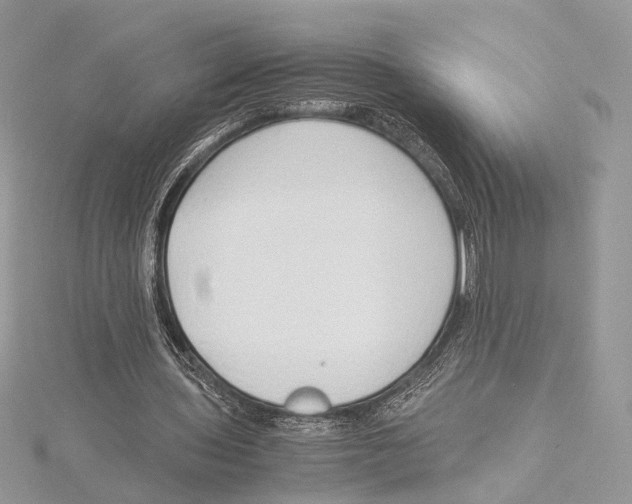 X0000115540435200912041014