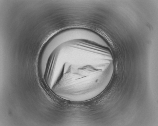 X0000115540436200912041014