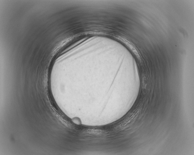 X0000115540437200912041014