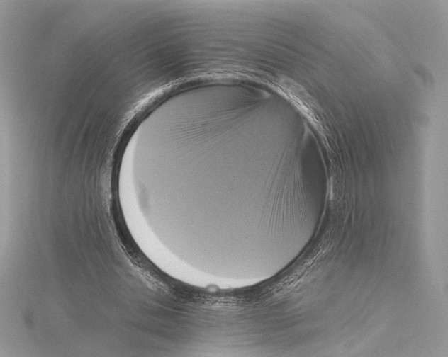 X0000115540438200912041014