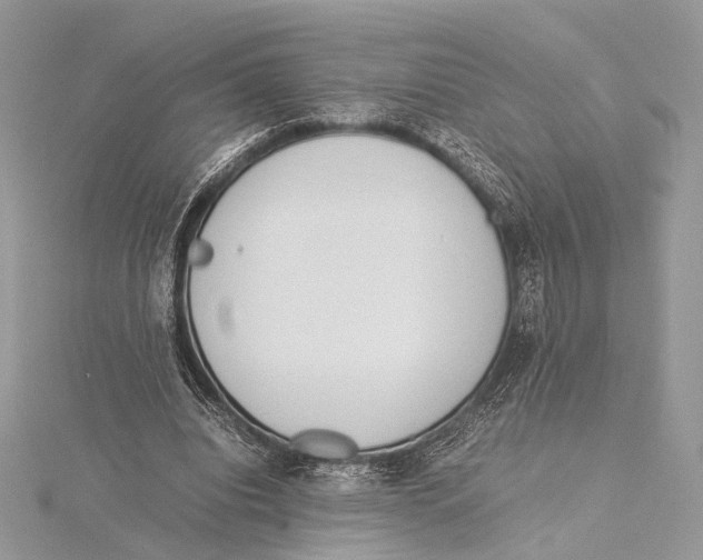 X0000115540440200912041014