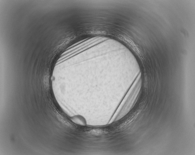 X0000115540441200912041014