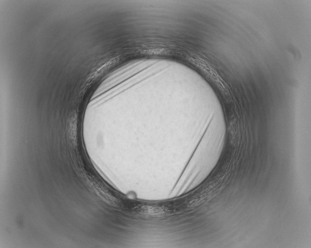 X0000115540442200912041014