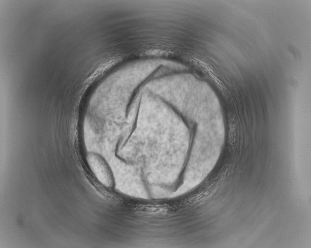 X0000115540443200912041014