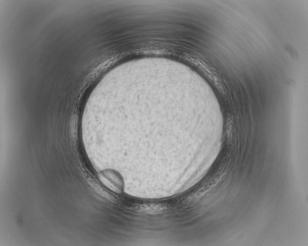 X0000115540445200912041014