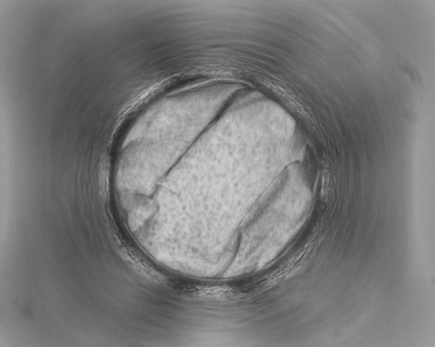 X0000115540446200912041014