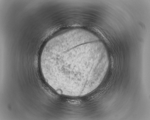 X0000115540447200912041014