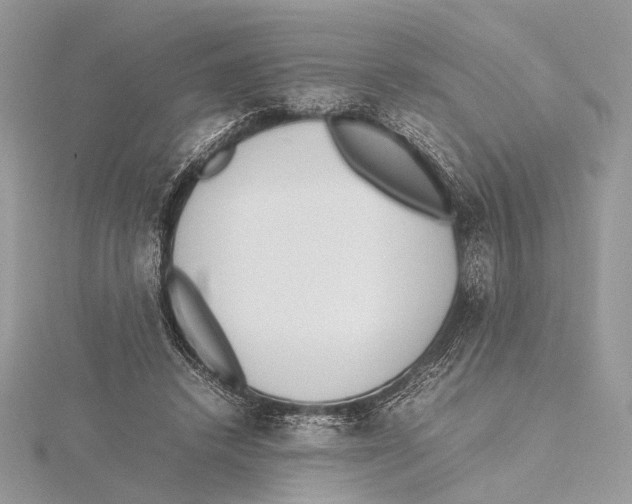 X0000115540448200912041014