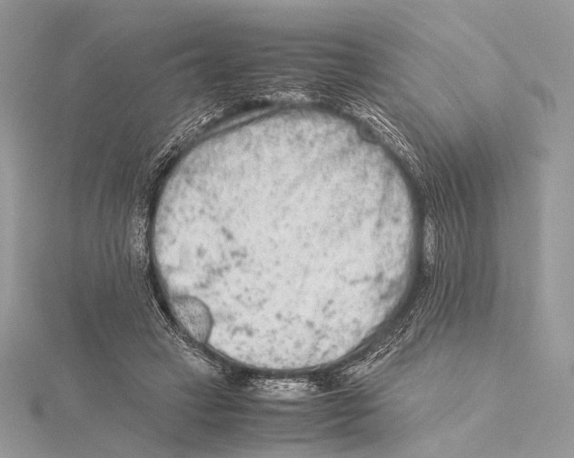 X0000115540449200912041014