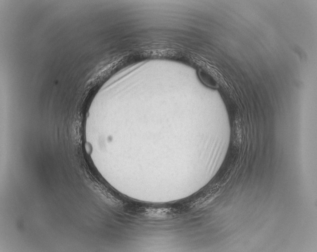 X0000115540450200912041014