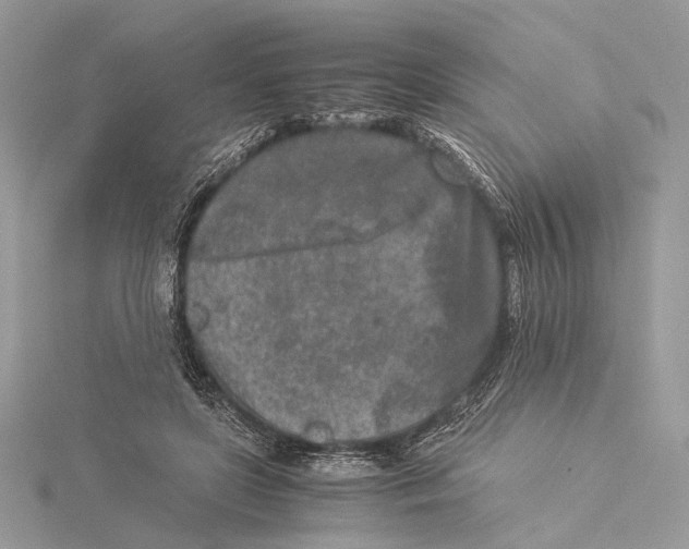 X0000115540451200912041014