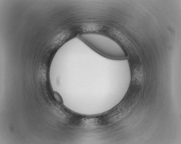 X0000115540452200912041014