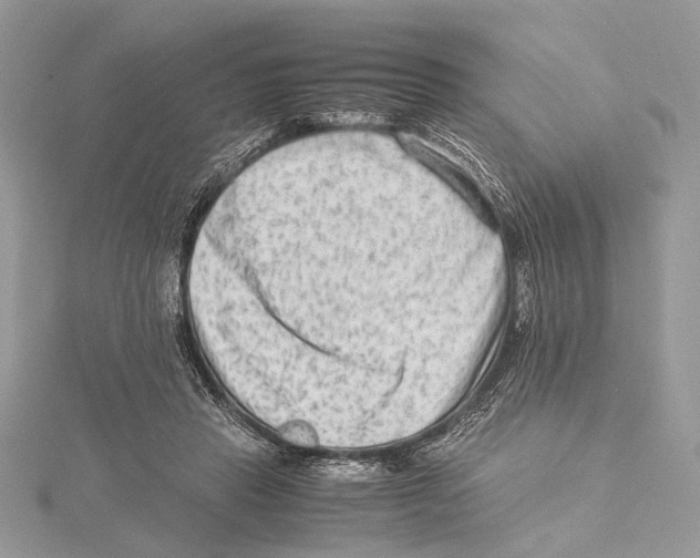 X0000115540453200912041014