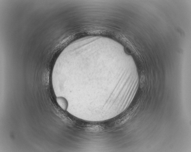 X0000115540454200912041014