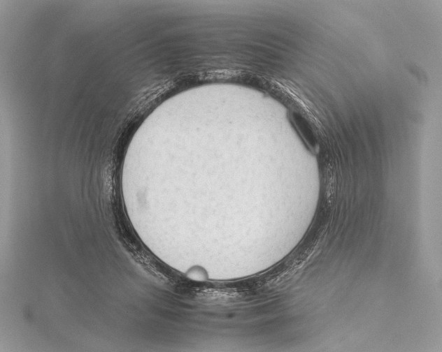 X0000115540455200912041014