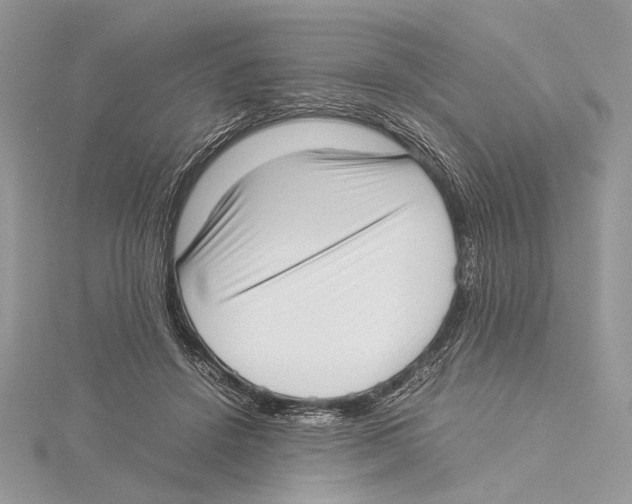 X0000115540456200912041014