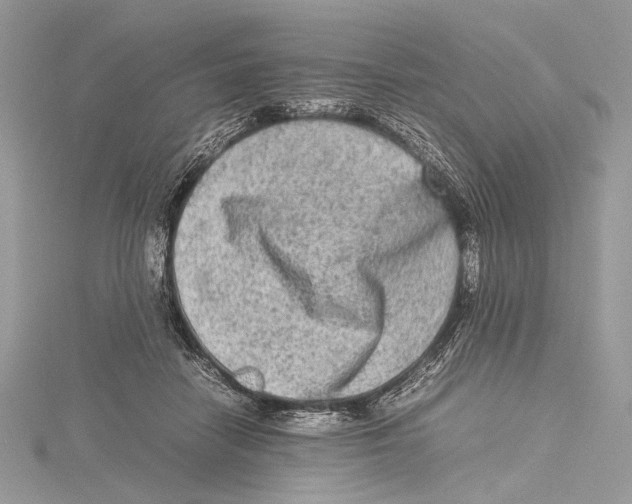 X0000115540458200912041014