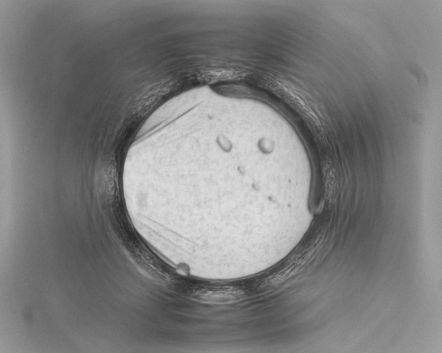 X0000115540459200912041014