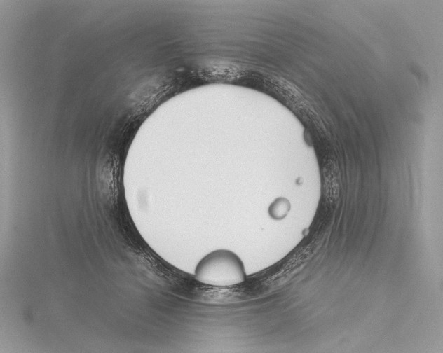 X0000115540460200912041014