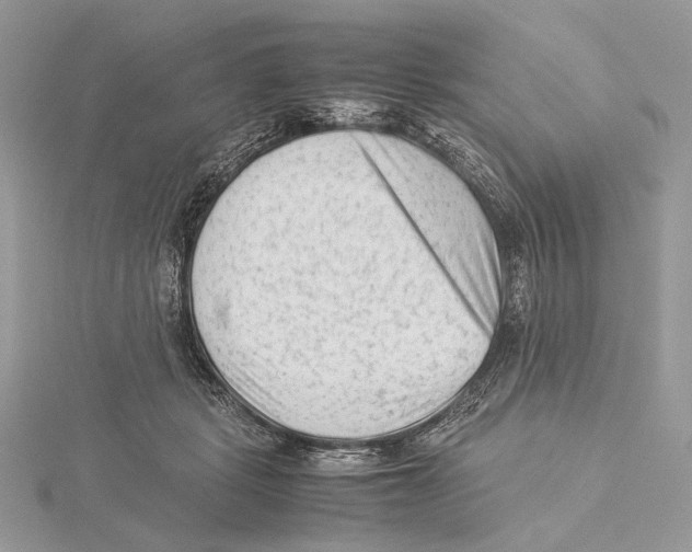 X0000115540461200912041014