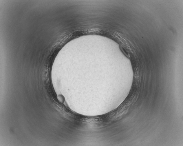 X0000115540462200912041014