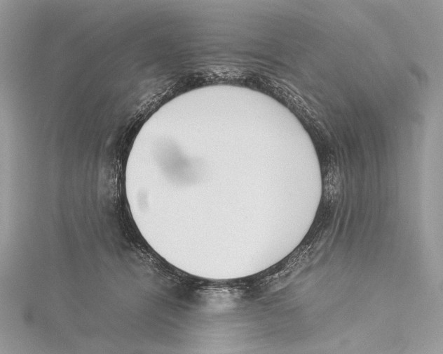 X0000115540464200912041014