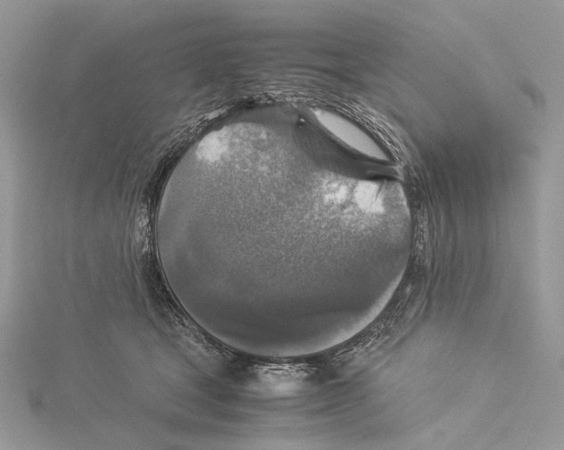 X0000115540465200912041014