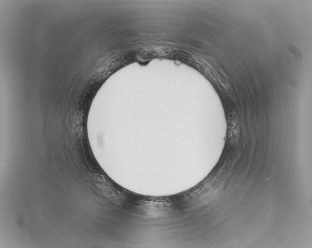 X0000115540466200912041014