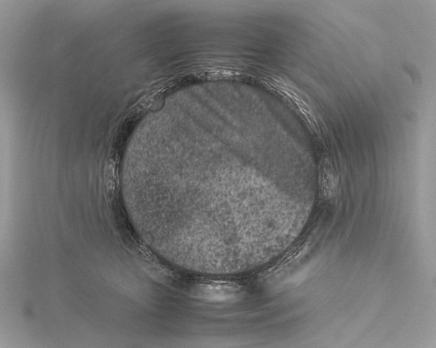 X0000115540467200912041014