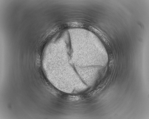 X0000115540469200912041014