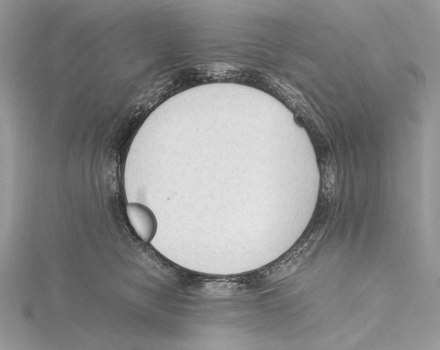 X0000115540470200912041014