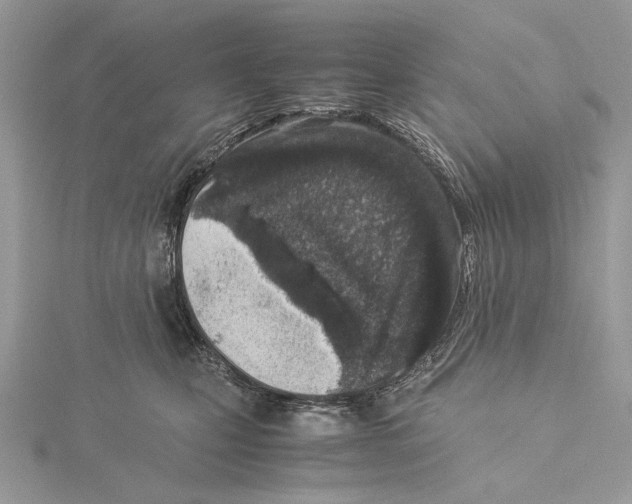 X0000115540471200912041014