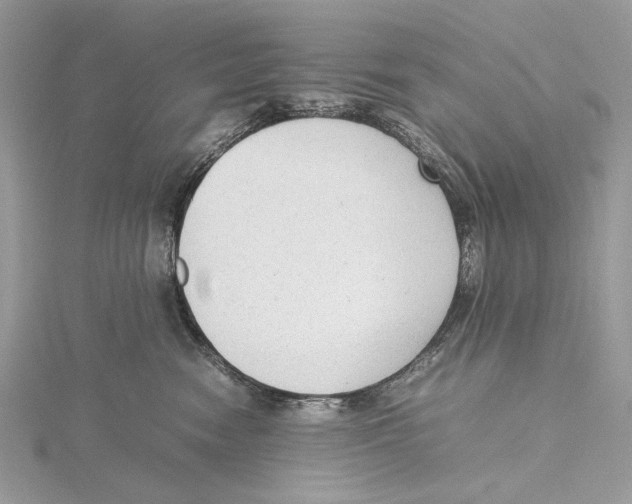 X0000115540474200912041014