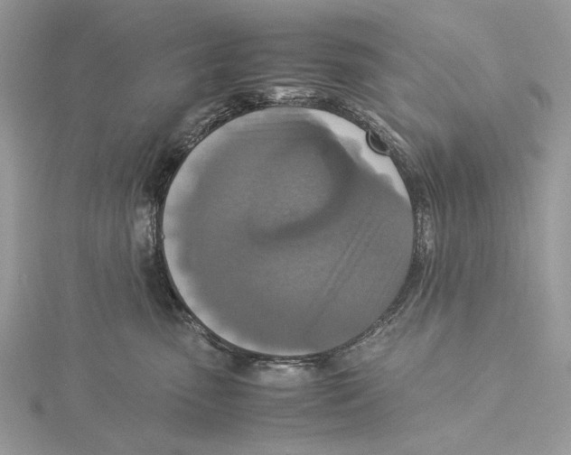 X0000115540475200912041014