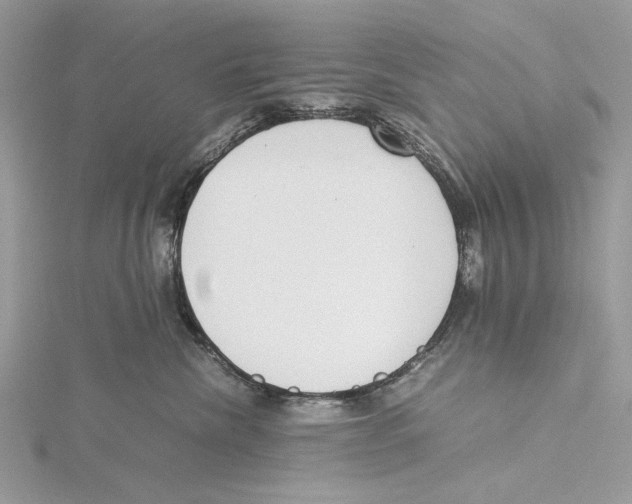 X0000115540476200912041014