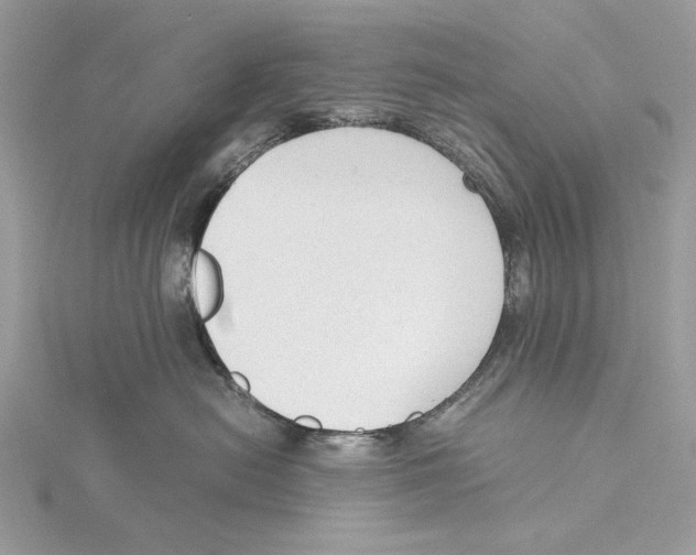 X0000115540478200912041014