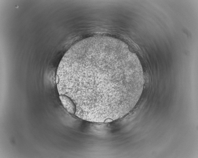 X0000115540479200912041014