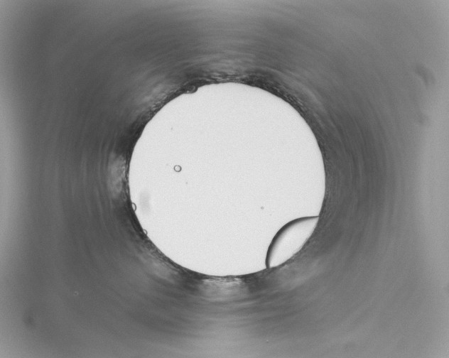 X0000115540480200912041014