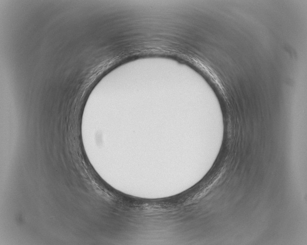 X0000115540481200912041014