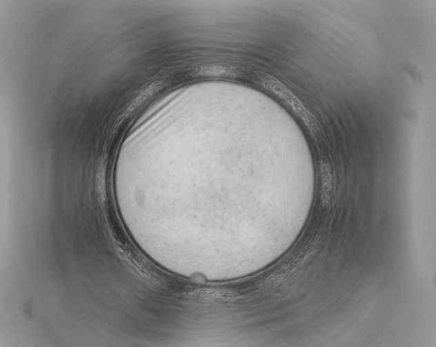 X0000115540482200912041014