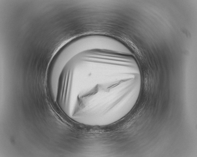 X0000115540484200912041014