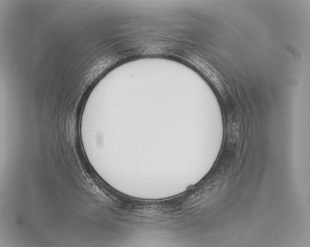 X0000115540485200912041014