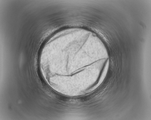 X0000115540487200912041014