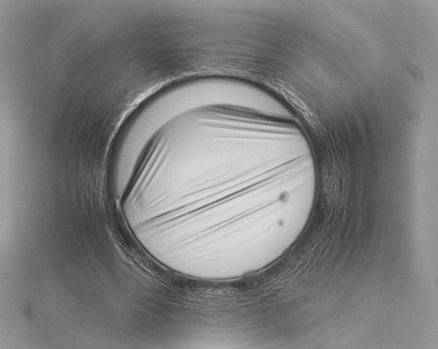 X0000115540488200912041014