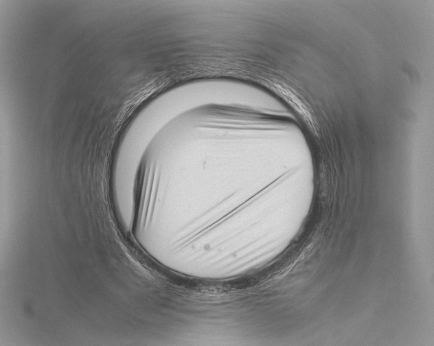 X0000115540489200912041014