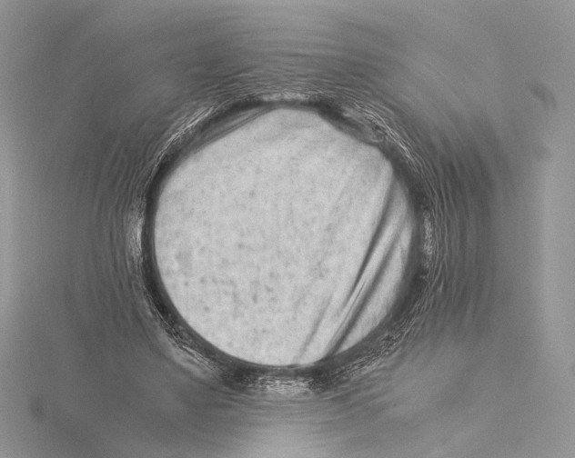 X0000115540491200912041014