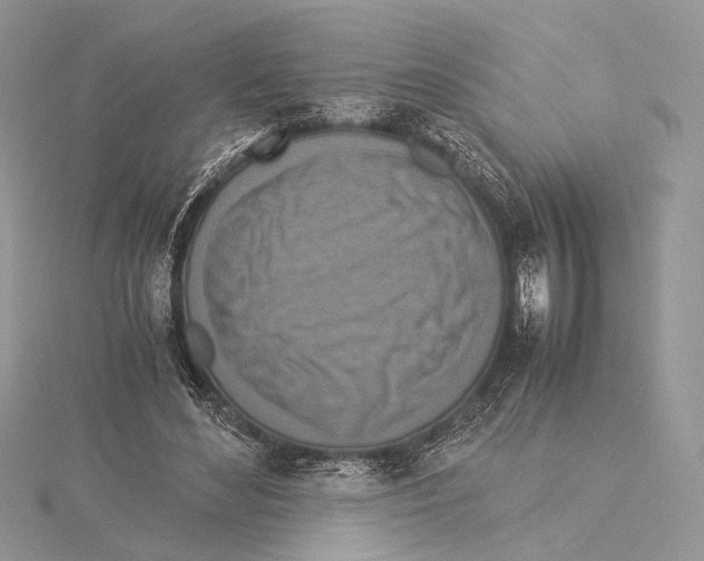 X0000115540492200912041014