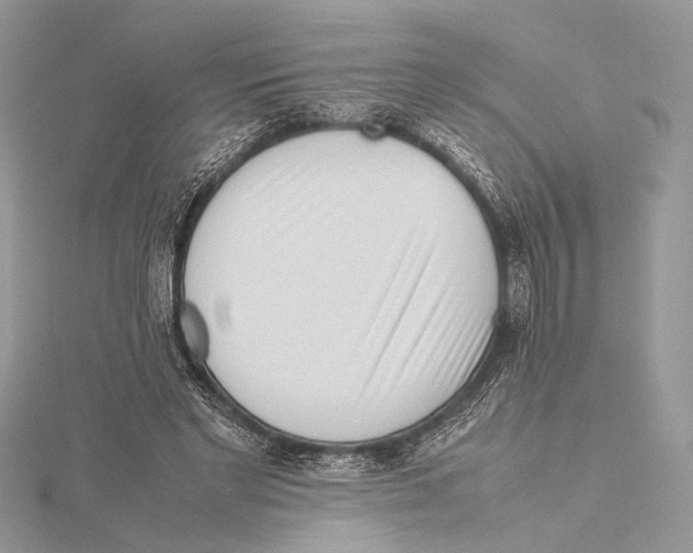 X0000115540493200912041014