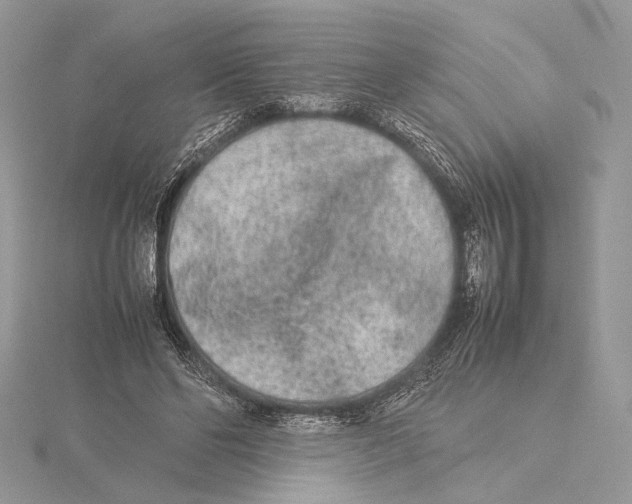 X0000115540494200912041014